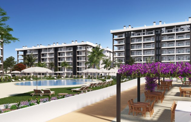 Ático - Obra nueva - Torrevieja - Torrevieja