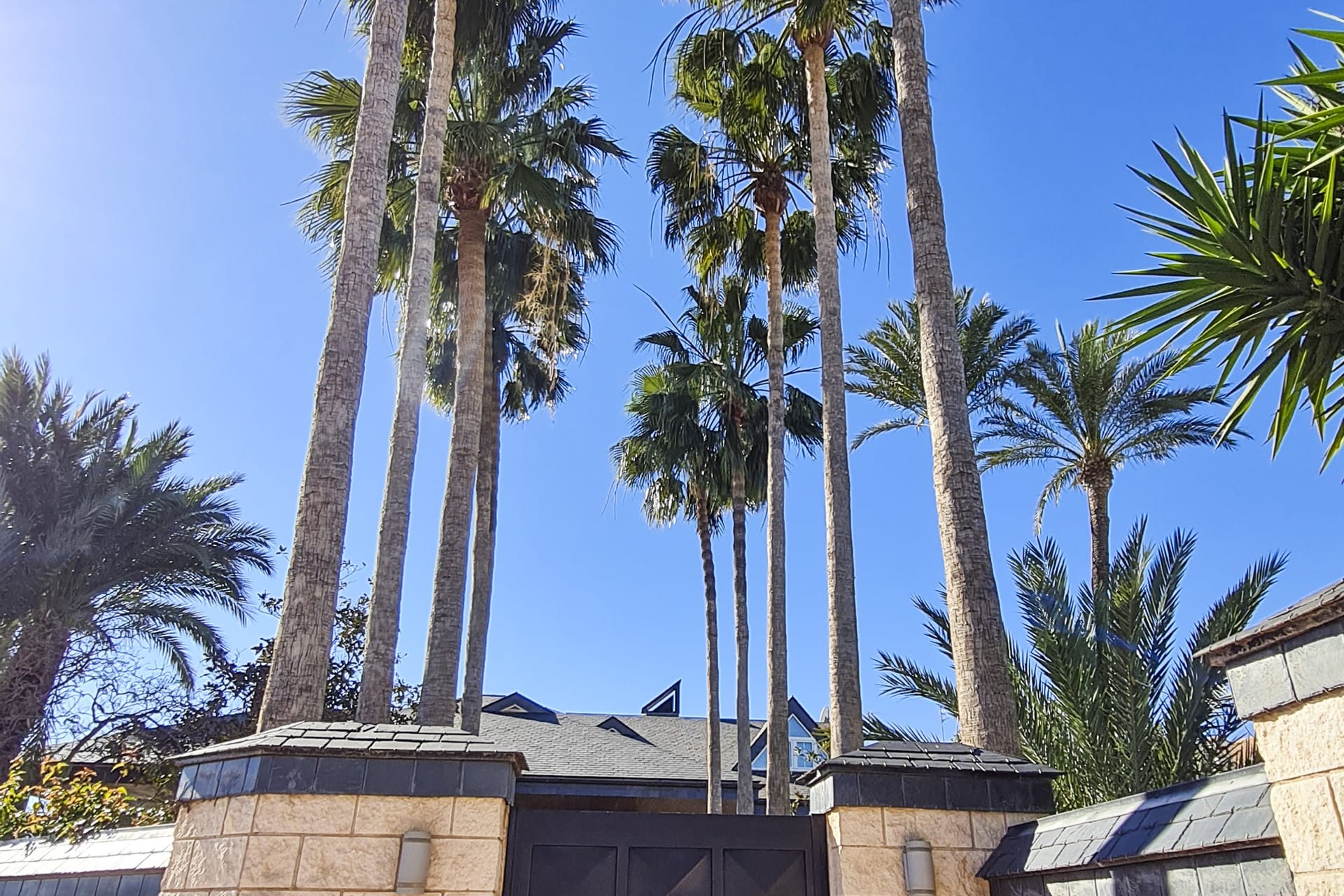 New Build - Villa - San Pedro del Pinatar