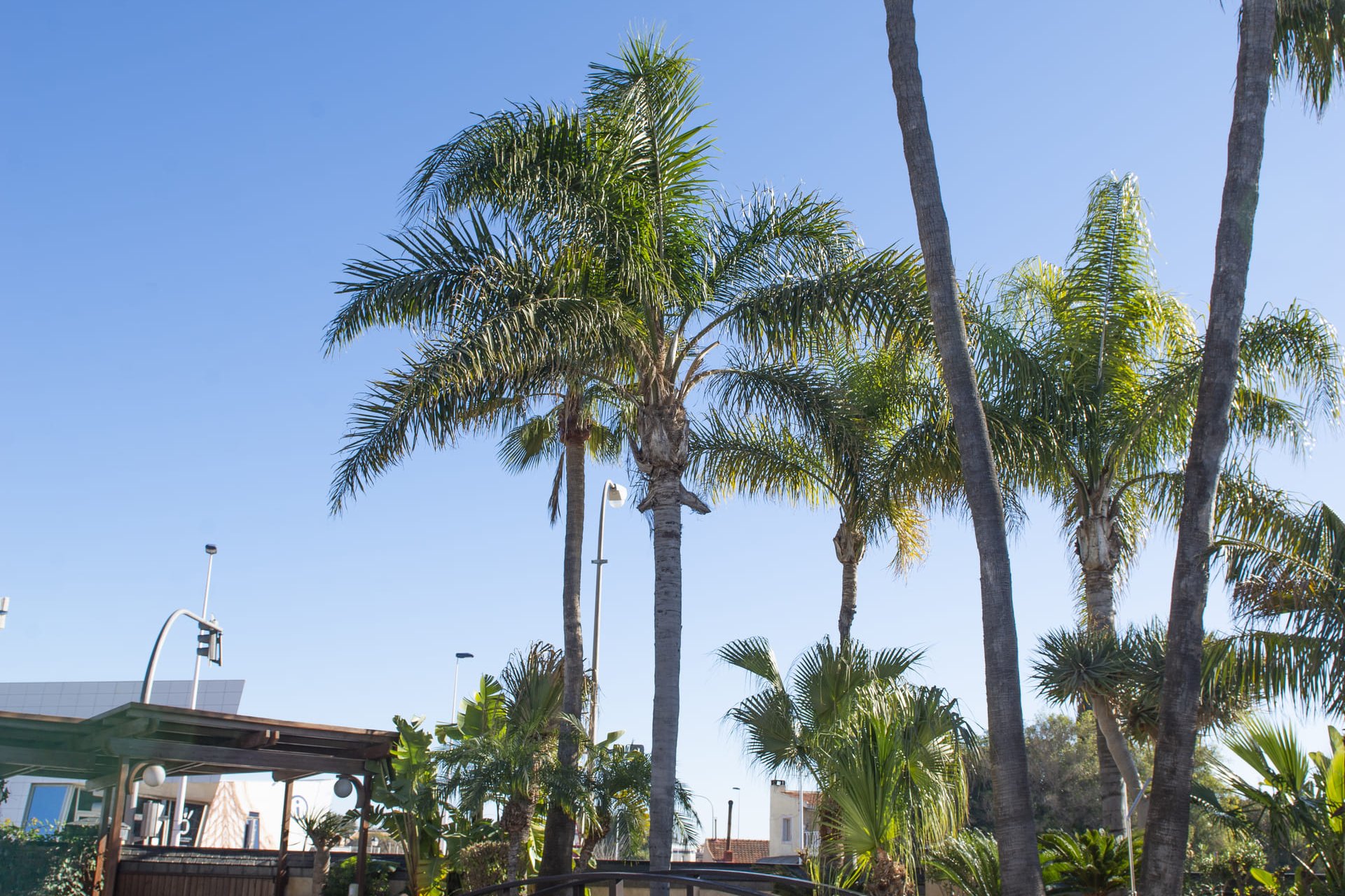 New Build - Villa - San Pedro del Pinatar