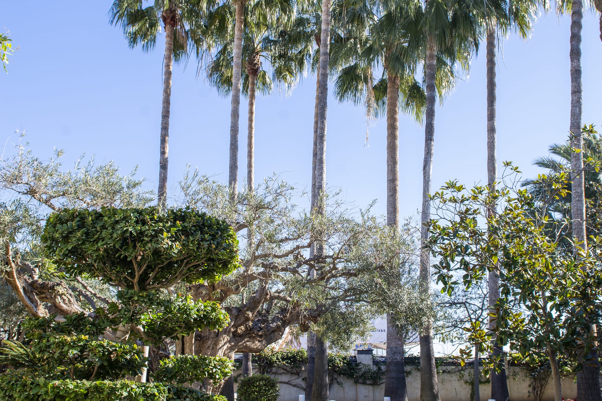 New Build - Villa - San Pedro del Pinatar