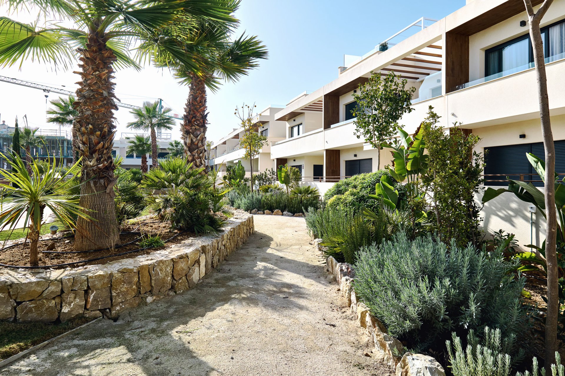 Novostavba - Bungalov - Torrevieja