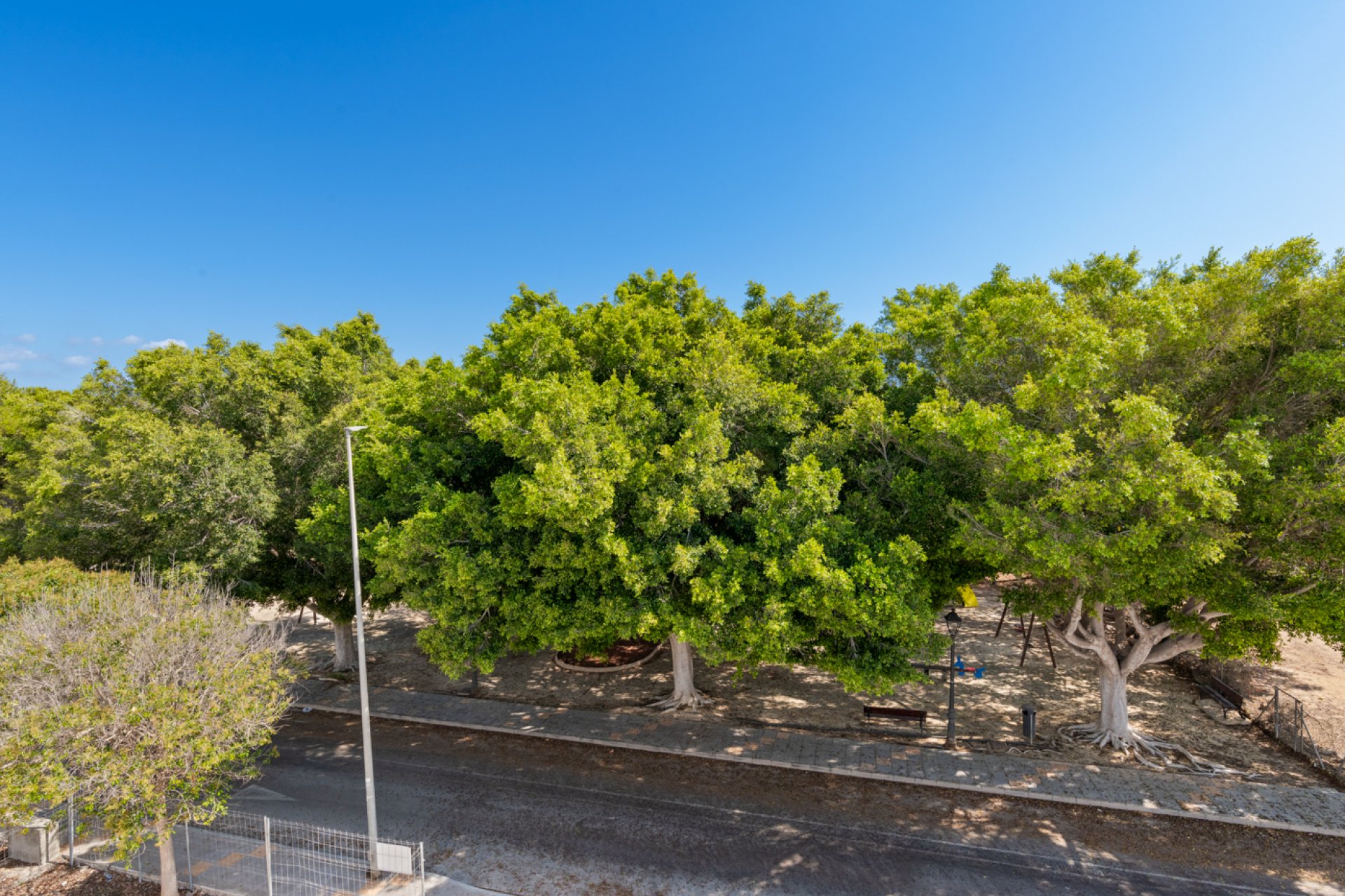 Novostavba - Městský dům - Pilar de la Horadada