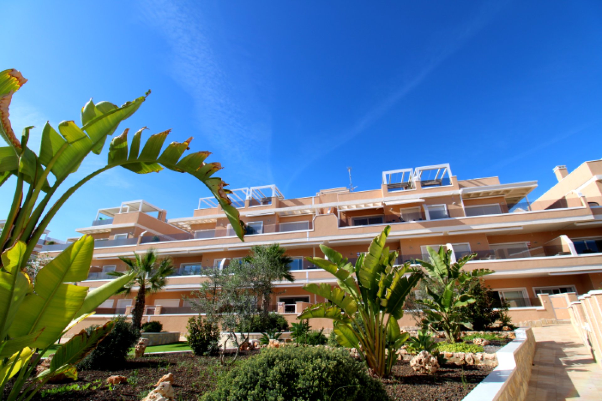 Zdruhé ruky - Byt - Torre de la Horadada