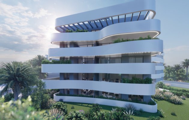 Obra nueva - Apartamento / piso - Guardamar del Segura