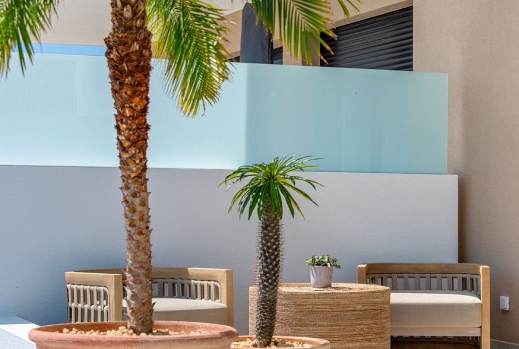 Obra nueva - Adosado - Dolores