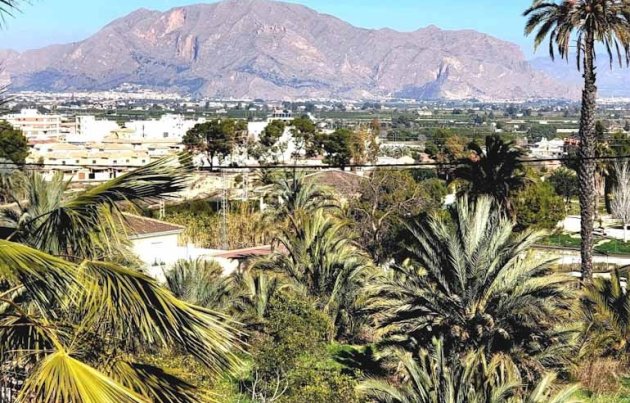 Segunda mano - Villa - Bigastro