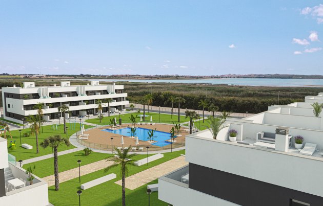 Obra nueva - Apartamento / piso - Guardamar del Segura