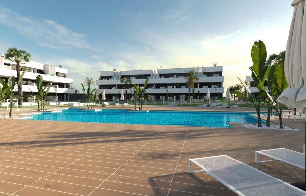 Obra nueva - Apartamento / piso - Guardamar del Segura