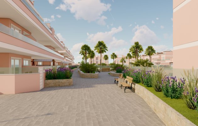 Obra nueva - Apartamento / piso - Pilar de la Horadada