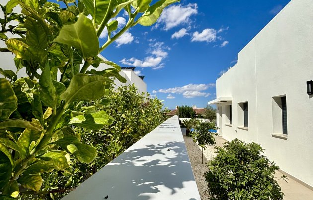 New Build - Townhouse - Benijofar