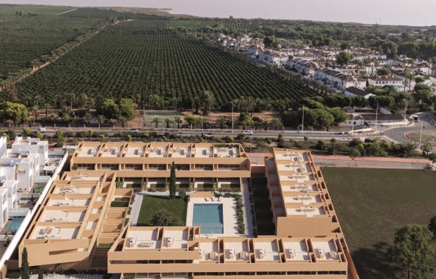 Obra nueva - Bungalow - Torrevieja