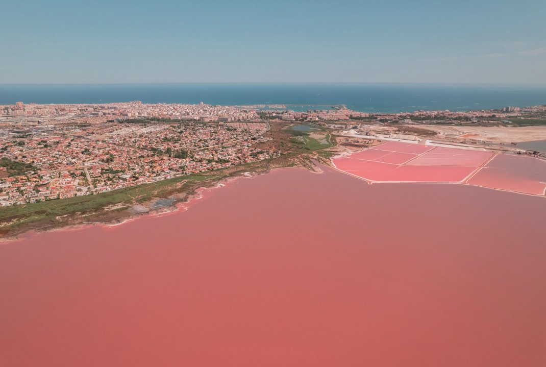 Obra nueva - Bungalow - Torrevieja