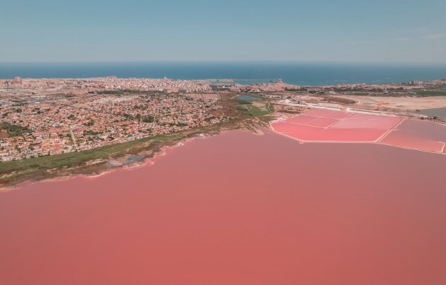 Obra nueva - Bungalow - Torrevieja