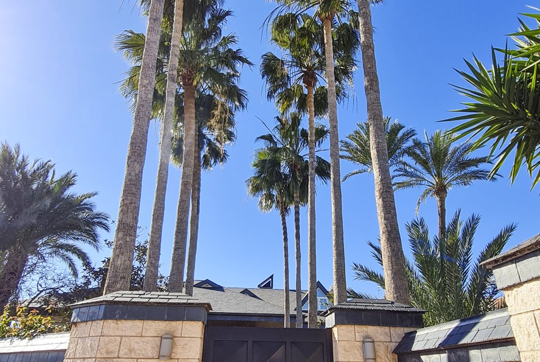 New Build - Villa - San Pedro del Pinatar