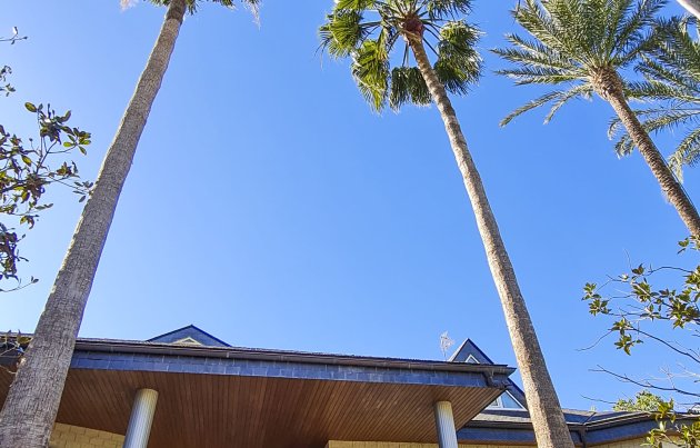 New Build - Villa - San Pedro del Pinatar