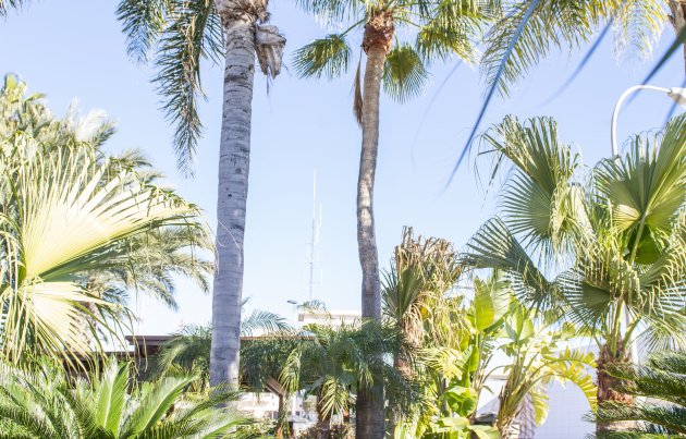 New Build - Villa - San Pedro del Pinatar