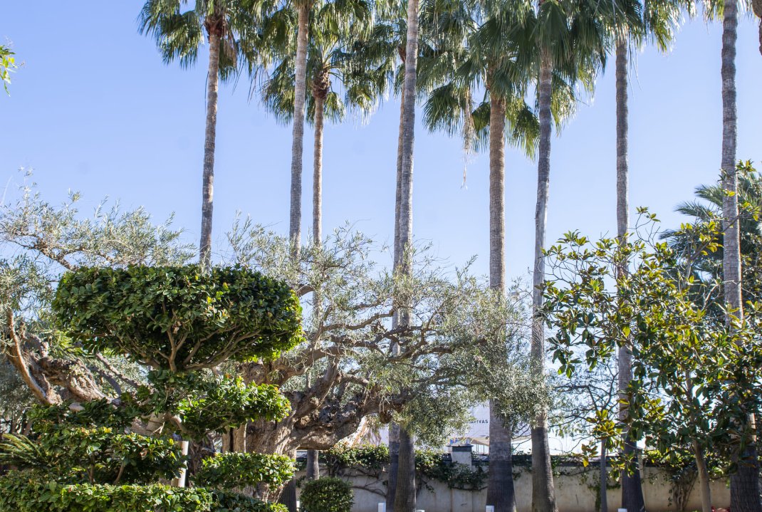 New Build - Villa - San Pedro del Pinatar