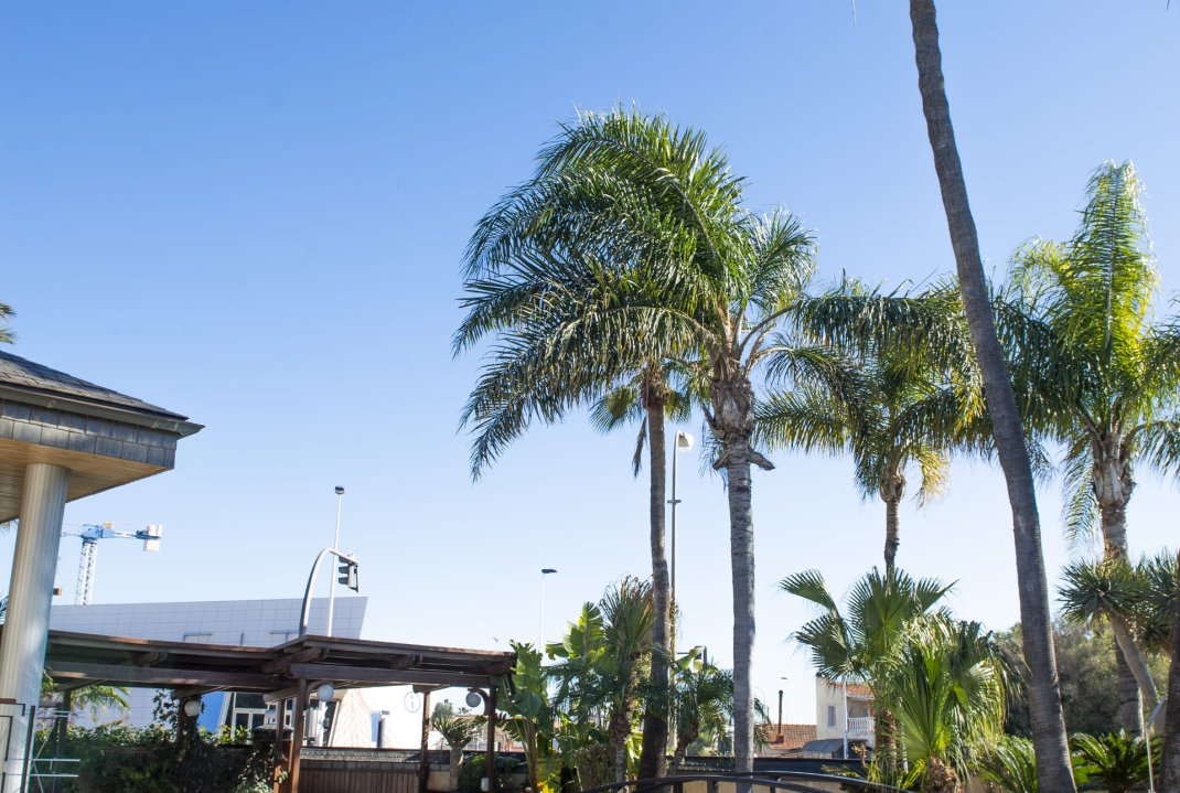 New Build - Villa - San Pedro del Pinatar