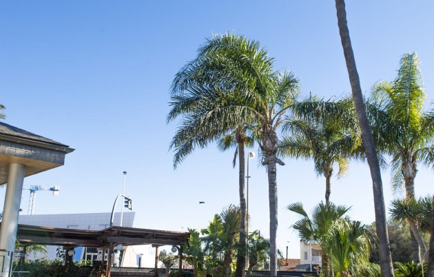 New Build - Villa - San Pedro del Pinatar