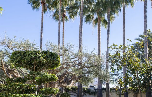 New Build - Villa - San Pedro del Pinatar