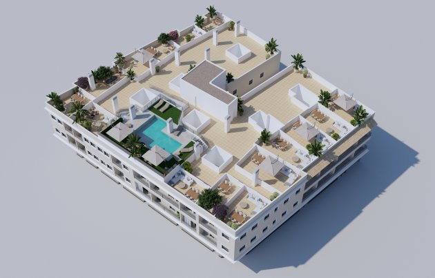 New Build - Apartment / flat - Algorfa
