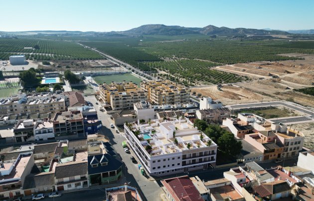 New Build - Penthouse - Algorfa