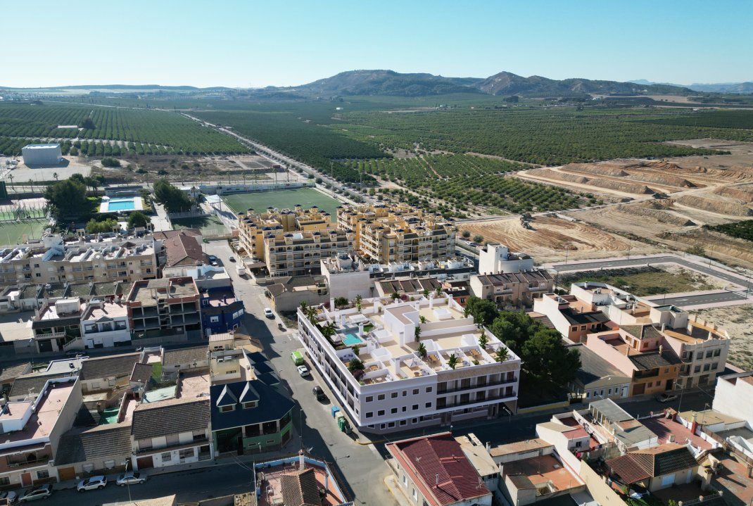 New Build - Penthouse - Algorfa