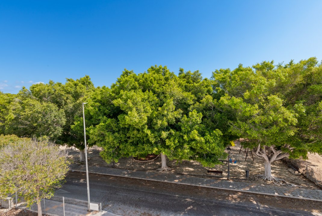 Novostavba - Městský dům - Pilar de la Horadada