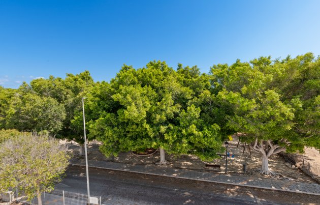 Novostavba - Městský dům - Pilar de la Horadada