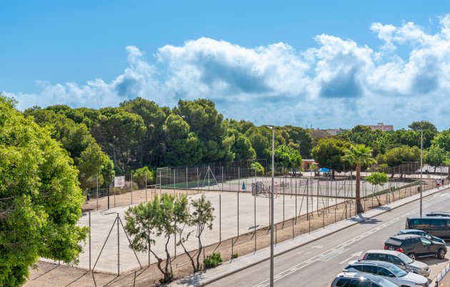 Novostavba - Městský dům - Pilar de la Horadada