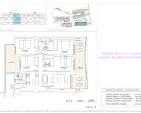 New Build - Apartment / flat - Playa Flamenca